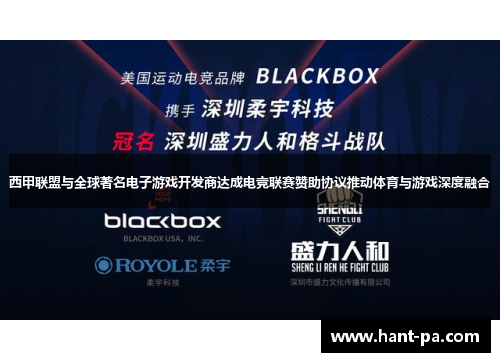 西甲联盟与全球著名电子游戏开发商达成电竞联赛赞助协议推动体育与游戏深度融合 西甲联盟与全球著名电子游戏开发商达成电竞联赛赞助协议推动体育与游戏深度融合